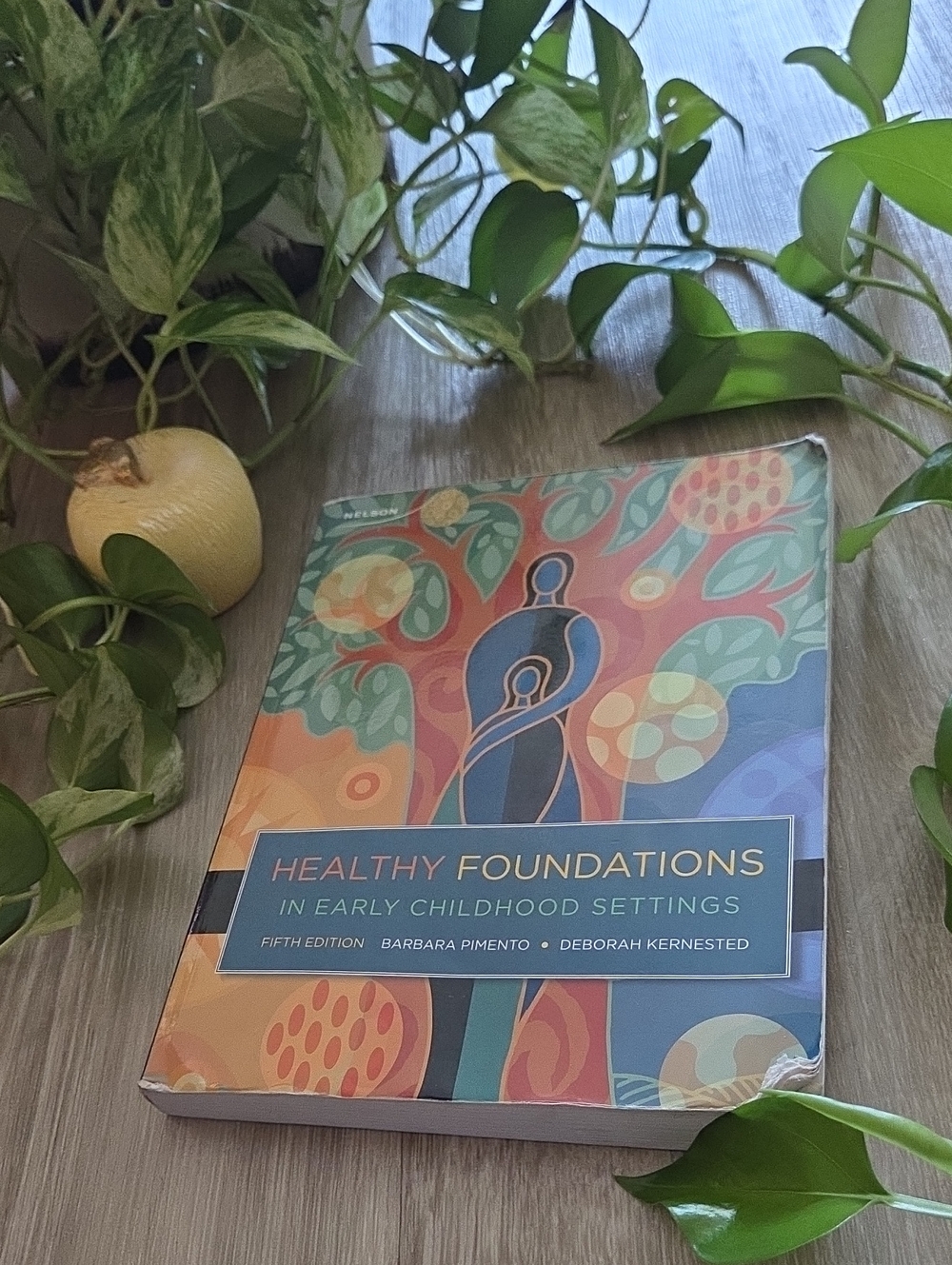 Healthy Foundations In Early Childhood Settings